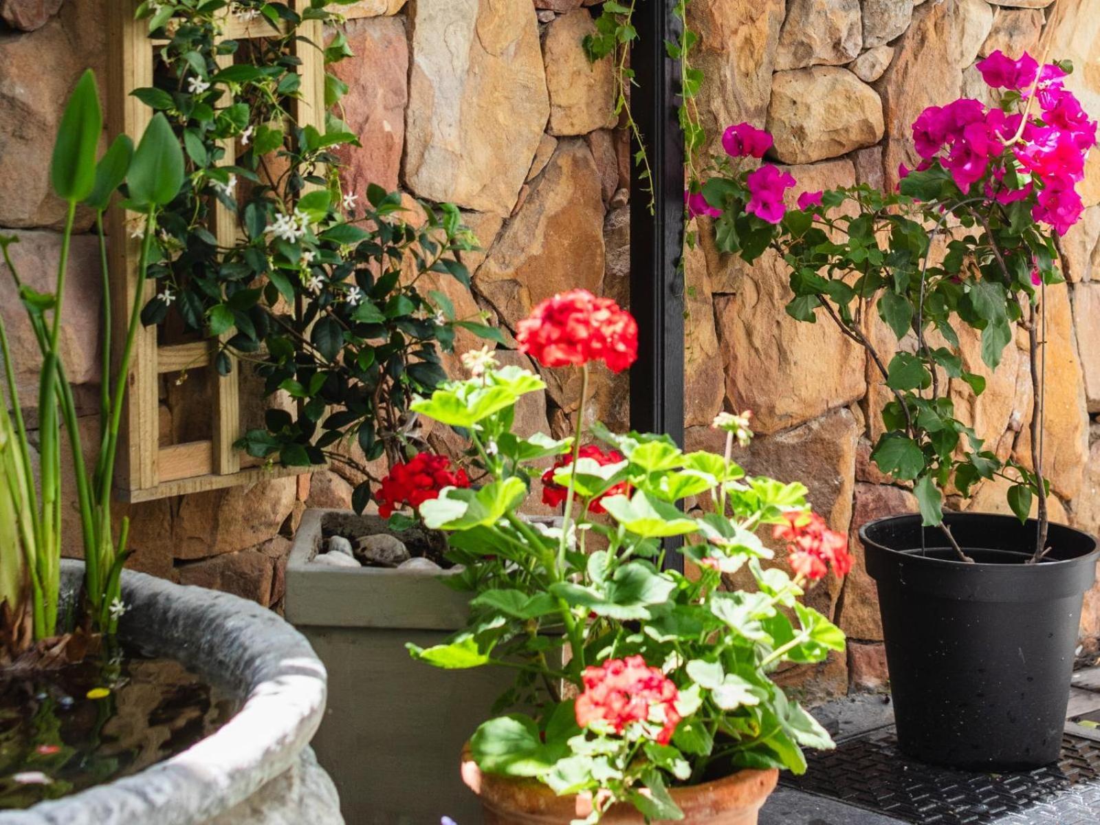 Nicol Street Heritage Apartment Cape Town